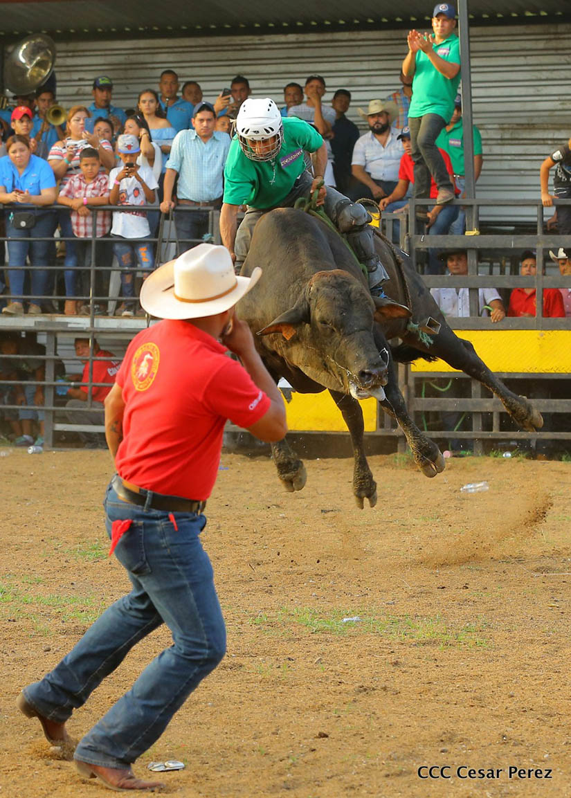finde